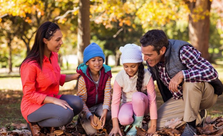 Discover 8 Heartwarming Outdoor Activities for Families?